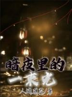 暗夜里的一束光陆川佳佳全文在线免费阅读