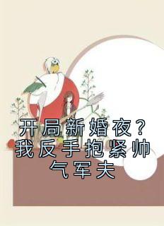 开局新婚夜？我反手抱紧帅气军夫黎昕贺北辰 by宗汐完整在线阅读