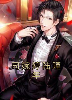 司婉婷陆瑾年
