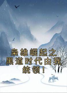 《枭雄崛起之黑道时代由我统领！》雷震苏凤仪全本在线阅读