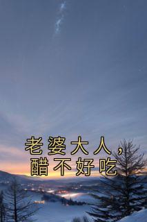 老婆大人，醋不好吃