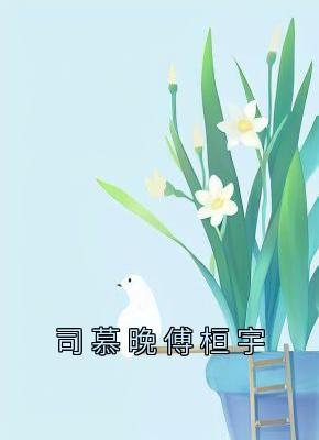 《司慕晚傅桓宇》全文在线试读 第9章