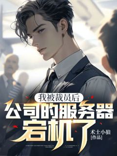 《我被裁员后公司的服务器宕机了》叶天启马程远全文免费试读