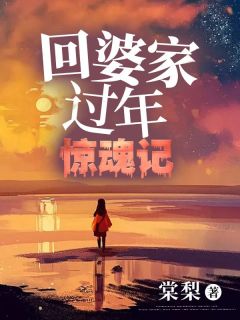 回婆家过年惊魂记何笙温舒小说免费试读