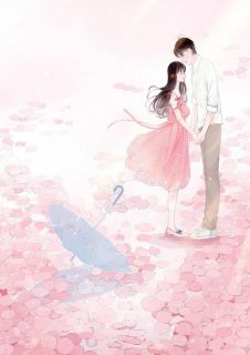 主角是顾婉安段奕琛的小说 《娇妻难哄，段少谋妻已久》 全文精彩试读