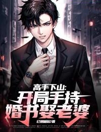 《高手下山：开局手持婚书娶老婆》小说阅读 陈生徐婉晴小说
