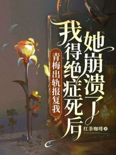 《我死后妻子进了精神病院》免费阅读 张政博任瑞甜小说免费试读