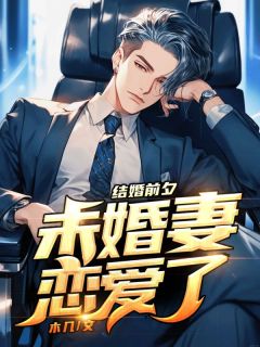 《结婚前夕，未婚妻恋爱了》小说章节列表在线试读 吴同纪静秋小说全文