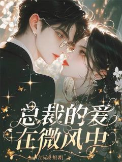 《总裁的爱在微风中》苏晓晓陆泽翰章节列表精彩试读