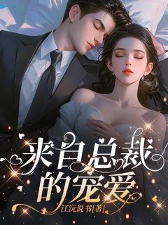 《来自总裁的宠爱》小说全文免费试读 李晴许瀚小说全文