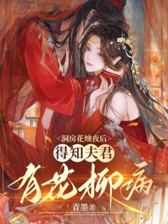 《被嫁给第一纨绔，我直接摆烂》全文及大结局精彩试读 云倾秦脩小说