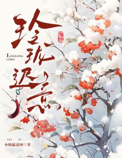 《玲珑迟意》沈玲珑张迟完结版免费试读  第3章 3