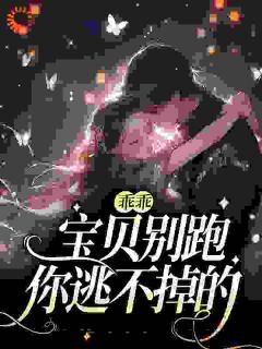《乖乖宝贝别跑，你逃不掉的》小说全文精彩试读 《乖乖宝贝别跑，你逃不掉的》最新章节列表