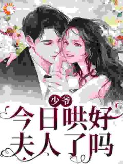 《少爷，今日哄好夫人了吗？》精彩章节列表在线试读 沈确云栀小说