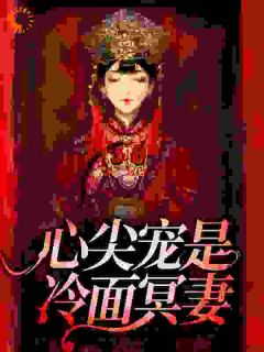 《心尖宠是冷面冥妻》(孟子辰孟乾震)小说阅读by听风