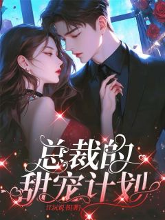 总裁的甜宠计划完整全文阅读 叶轻舞江少恒小说结局无删节