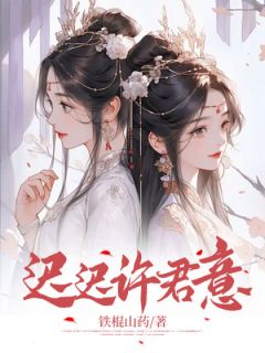 迟迟许君意小说全文精彩章节免费试读（迟儿裴君意）