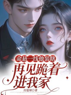 《命悬一线他装瞎，再见跪着进我家》小说主角苏菀陆时晏全文章节免费免费试读