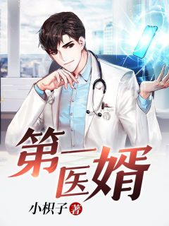 好书推荐《第一医婿》陈宇沐歆瑶全文在线阅读