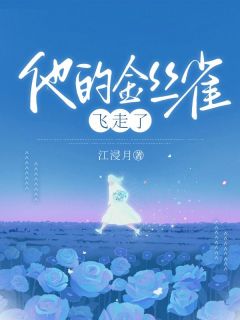 《他的金丝雀飞走了》小说主角沈卿陆淮全文章节免费免费试读