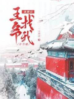 退婚后王爷找我开书铺锦娘云湛月娘_退婚后王爷找我开书铺章节