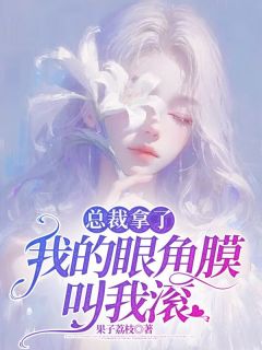 总裁拿了我的眼角膜叫我滚小说全文精彩章节免费试读（宋闻潇霍晏许）