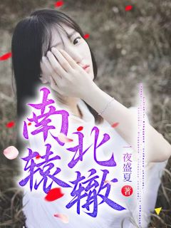 冉星辰顾南笙冉星辰顾南笙小说全文章节阅读 冉星辰顾南笙免费完整版