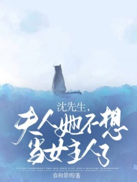 《沈先生，夫人她不想当女主人了》小说章节精彩阅读 苏晚晚沈盛年小说阅读