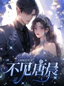 不见唐晨完整版 裴溯唐晨全章节阅读