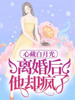 《心藏白月光，离婚后，他却疯了》小说章节免费阅读 白吟傅霁衡小说阅读