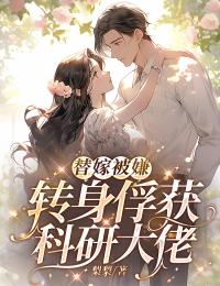 《替嫁被嫌，转身俘获科研大佬》大结局免费阅读 第18章