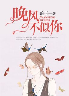 晚风不似你全章节免费阅读 主角林清霜盛译行完结版