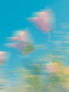 《烟花燃尽再无人间》小说章节在线试读  第七章：