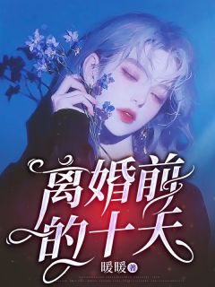 《离婚前的十天》小说章节在线试读  01