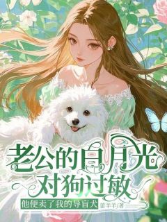 《老公的白月光对狗过敏，他便卖了我的导盲犬》傅渊白晓章节列表在线试读  2