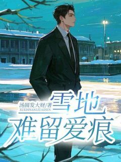 雪地难留爱痕全文免费阅读 顾辞深秦梦梦林宸清小说大结局无弹窗