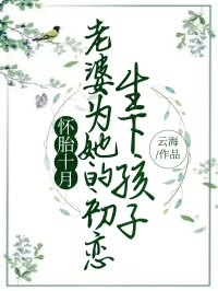 《怀胎十月，老婆为她的初恋生下孩子》江宁顾小青秦南章节目录精彩阅读