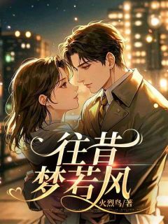 《往昔梦若风》小说全文在线试读 《往昔梦若风》最新章节目录