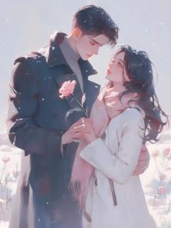 《元宵节，老公送白月光钻戒》念锦沈斯昂全文免费试读