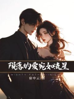 《坠落的爱，宛如流星》小说章节目录在线试读  第3章