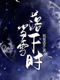 《当雪落下时》宁宁段秉谦顾知微小说最新章节目录及全文精彩章节