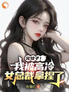 完犊子！我被高冷女总裁拿捏了完整版 秦寻苏沐月全章节阅读