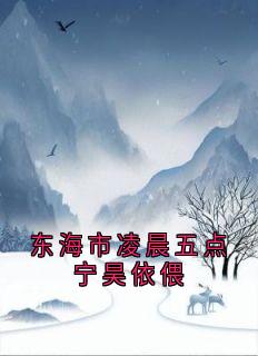 主角是宁昊司诗雅的小说 第6章