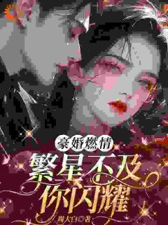 《豪婚燃情，繁星不及你闪耀》小说免费试读 《豪婚燃情，繁星不及你闪耀》最新章节目录