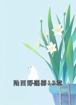 陆西野莲雾13章