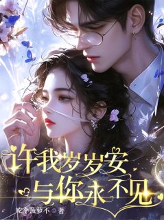 许我岁岁安，与你永不见免费试读 南乔谢景云小说章节目录