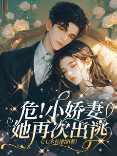 危！小娇妻她再次出逃全文免费阅读 礼宝儿贺燕小说大结局无弹窗