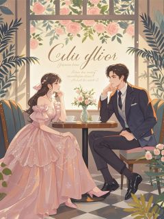 先婚后爱：教授的隐婚小娇妻全本资源 苏念安陆砚辞完整未删减版