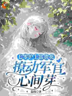 七零沪上富贵花，撩动军官心间芽全本资源下载APP 季青棠季谨完整未删减版
