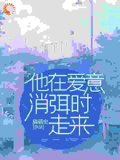 《他在爱意消弭时走来》阮宜宁霍庭澜章节列表在线阅读